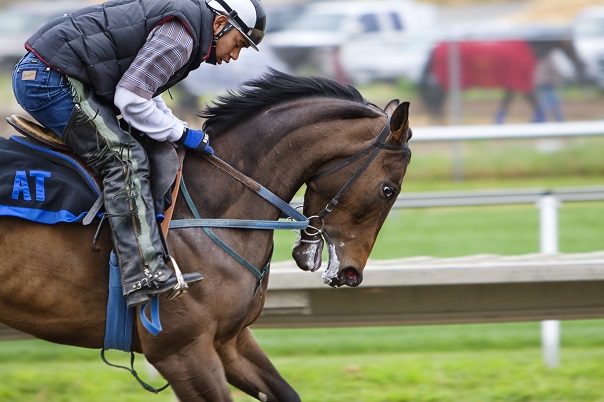 exploring-the-history-of-horse-racing-around-the-world